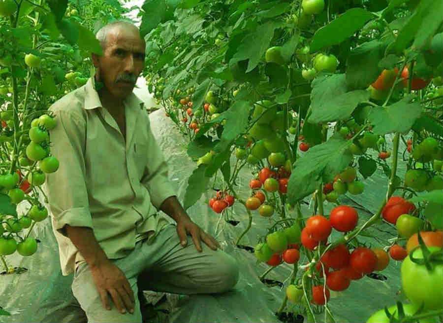 kalam singh rawat farmer of chamoli garhwal